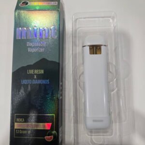 Mint 1g Disposable Vape Pens